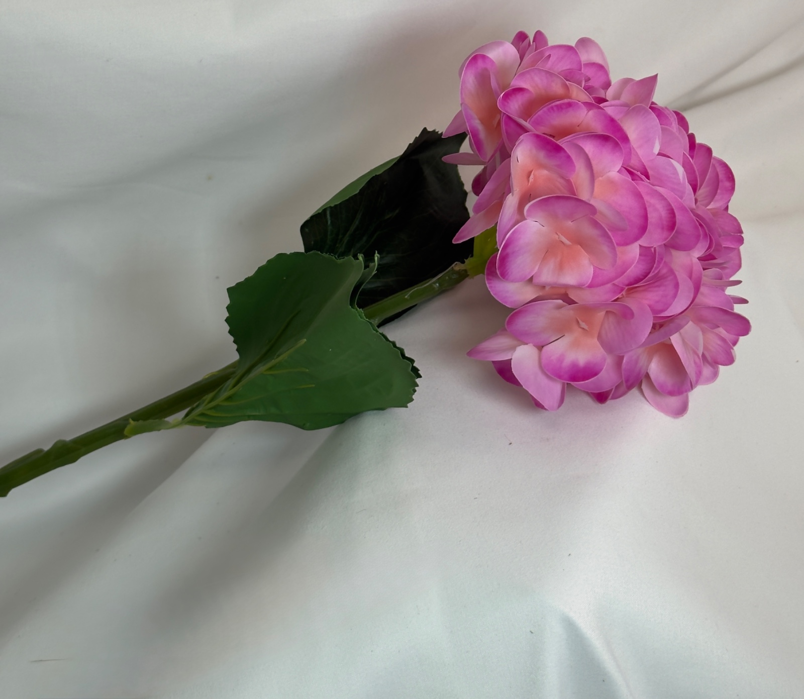ხელოვნური გორტენზია ფლორა ჰაუსი — photo 2